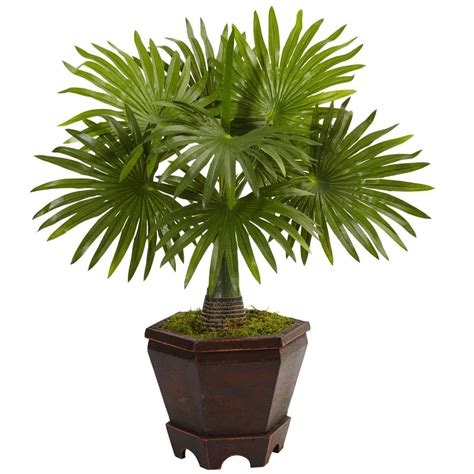 Assorted Mini Palm Trees In Planter Set Of 3 Nearly Natural