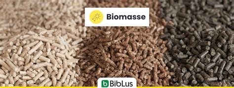 Biomasse Cosa Sono E Come Producono Energia Biblus