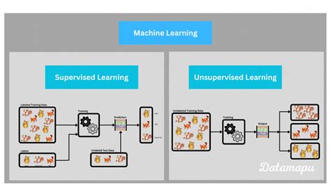 Supervised Versus Unsupervised Learning Explained