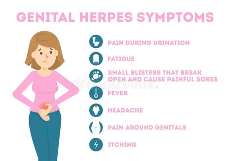 Genital Herpes Symptoms Infectious Dermatology Disease Illustration