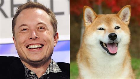 News Explorer — Dogecoin Price Pumps Again Amid Elon Musks Trump