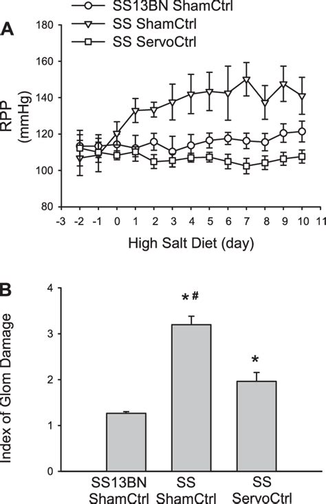 effect  rpp servocontrol  high salt induced glomerular damage