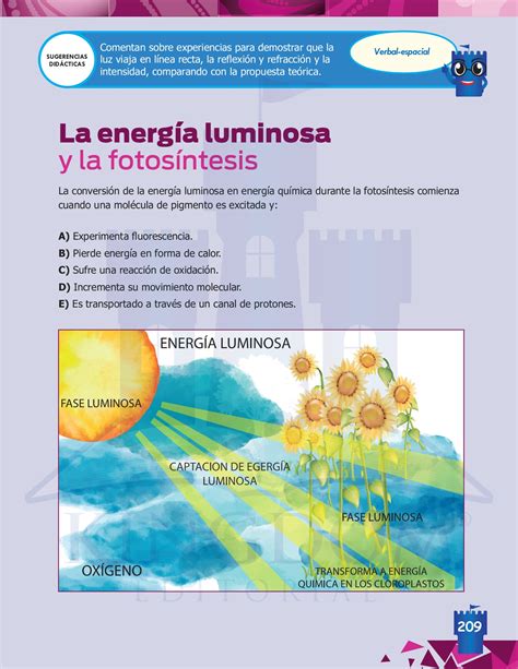 Ciencias Naturales Vo Grado Kingdom Editorial P Gina Flip