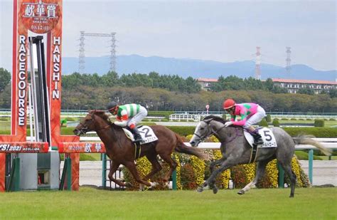 ＜阪神5r・新馬戦＞好位のインから抜け出し、ゴールドローズ（右）を首差しのいで勝利を飾ったフォースクエア ― スポニチ Sponichi