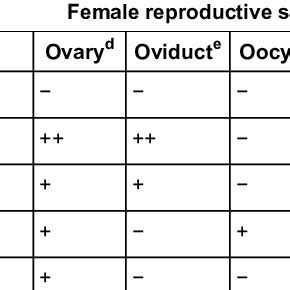 Tissue Distribution Of Aquaporins Aqp In Female Reproductive Systems