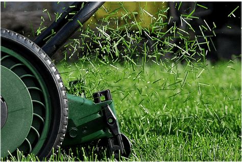 Grass Clippings As Mulch Pros And Cons Lawn Affection