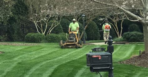 Lawn Mowing Grass Cutting Services Raleigh Nc