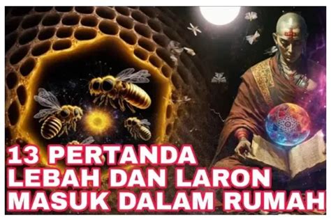 Primbon Jawa Populer Terbongkar Inilah Pertanda Laron Atau Lebah Masuk