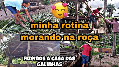 Vlog Cobrimos O Barraco Das Galinhas Minha Vida Morando Na Ro A Youtube