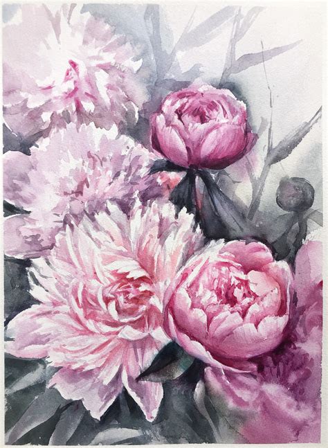 Watercolor Peonies Sketch On Behance