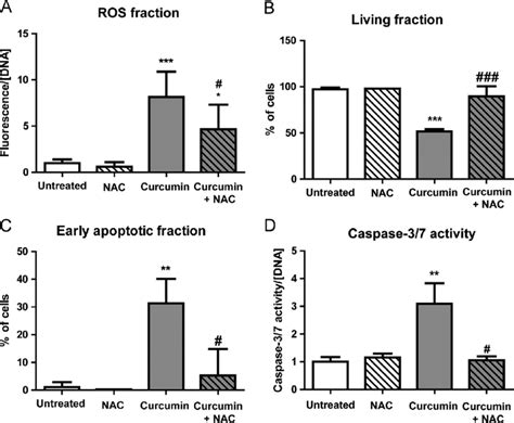 Curcumin Induced Apoptosis In HaCaT Cells Is Mediated By ROS A