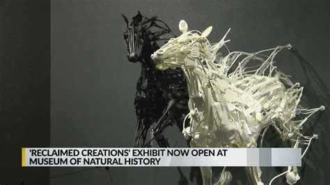 Reclaimed Creations Exhibit Bringing Old Plastics New Life Through