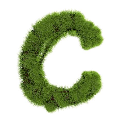 Lettre D Herbe C Isol Sur Fond Blanc Symbole Couvert D Herbe Verte