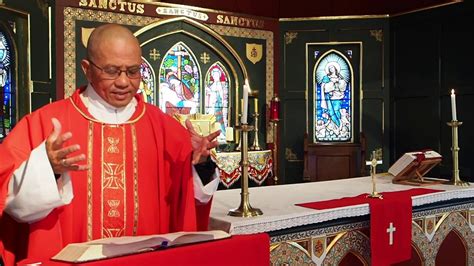 Palm Sunday Homily 2020 Fr Michael Pui Parish Priest Good Shepherd