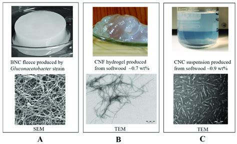 Various Nanocellulose Products And Their Microscopic Morphology Under