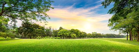 Papeis De Parede Parque Ver O C U Grama Rvores Relvado Naturaleza