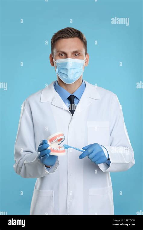 Dentist With Jaws Model And Toothbrush On Light Blue Background Oral