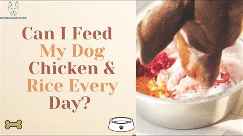 Can I Feed My Pig Dog Food At Henry Flaherty Blog