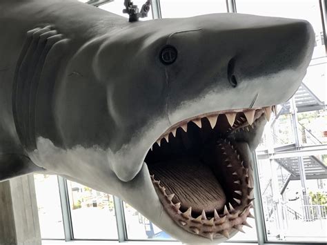 Bruce the shark drops jaws at the Academy Museum — The Daily Jaws