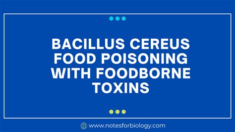 Bacillus cereus food poisoning with foodborne toxins - Best Biology ...