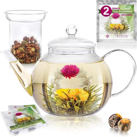 Top Best Glass Teapots In Reviews Buyer S Guide