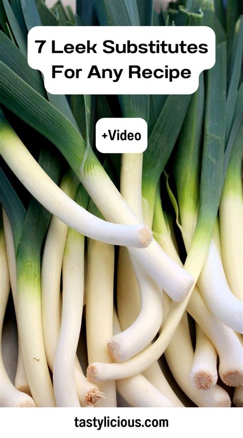 Leek Substitutes For Any Recipe Video Tastylicious Leeks