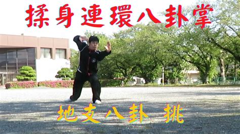 Palms Form Tiao Gao Style Baguazhang Youtube