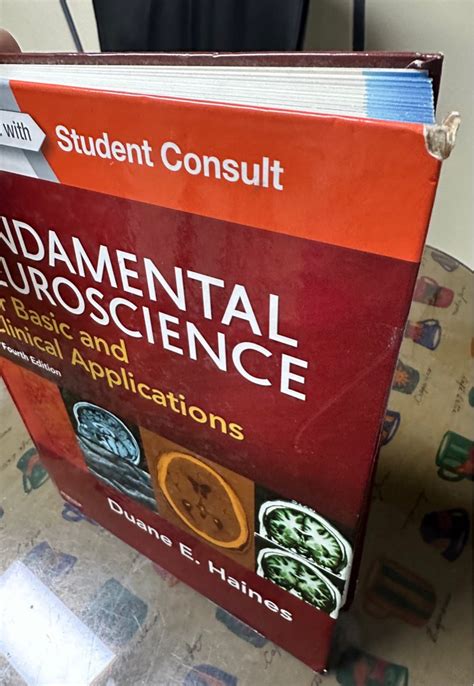 Fundamentals Neuroscience 4th Edition Hobbies Toys Books