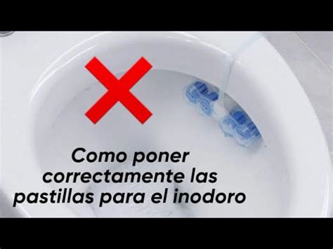 Como Poner Correctamente Las Pastillas Para Inodoro Ba O Youtube