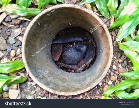 Lubang Biopori Biopore Infiltration Hole Manmade Stock Photo 1365802673 | Shutterstock