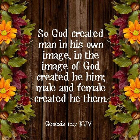 We Are Created In Gods Image We Must Be Very Important To Him If He