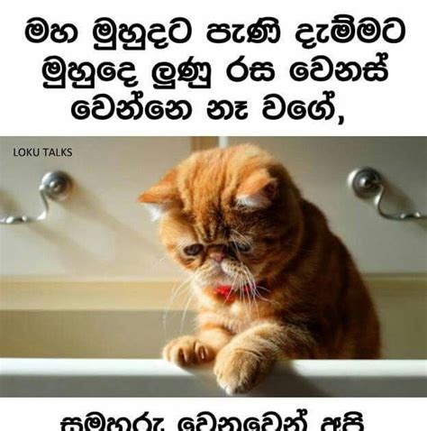 Friend Quotes Best Friend Wadan Sinhala Sinhala Quotes About