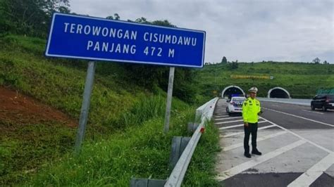 Kabar Seekor Harimau Tertabrak Kendaraan Di Jalan Tol Cisumdawu