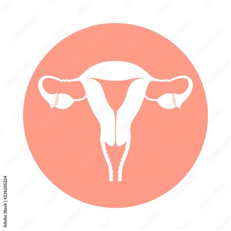 Icon Female Reproductive Organs Uterus Sign In Rose Circle Isolated On