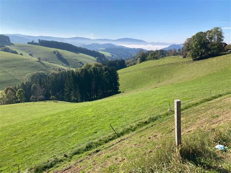 schönsten Rennradtouren am Titisee Outdooractive