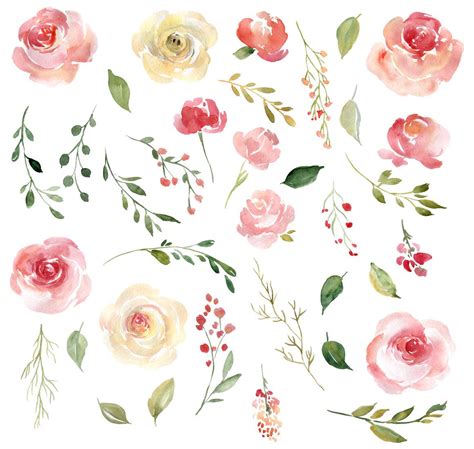 √ Watercolor Flowers Clipart Free