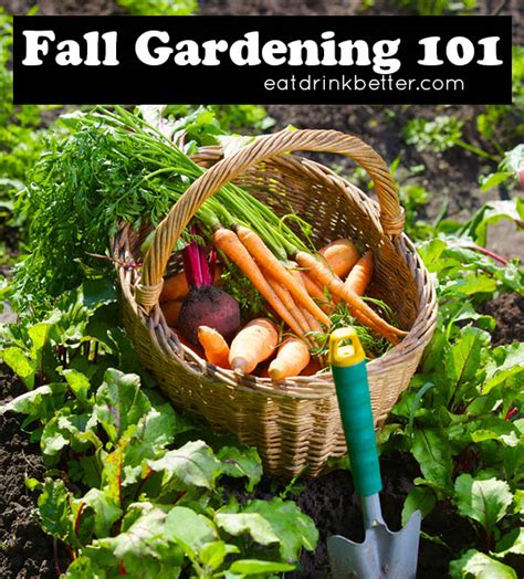 How To Plant A Fall Vegetable Garden