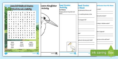 Arundel Wetland Centre Activity Pack - Primary Resources