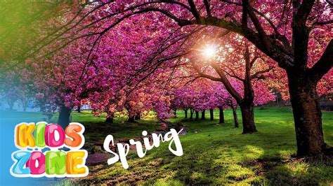 Its Spring What Happens In Spring Season Spring Video For Kids