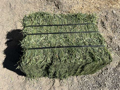 Sliced Alfalfa Hay Ratzlaff Farms