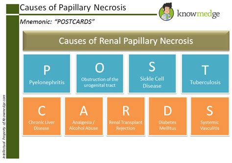 Medical Mnemonics: Causes of Papillary Necrosis – “POSTCARDS” : USMLE / Internal Medicine ABIM ...