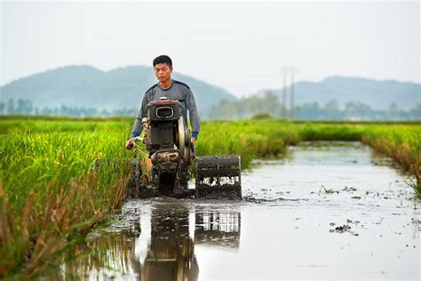 Agriculture in Vietnam: On the Road to Development - The Borgen Project