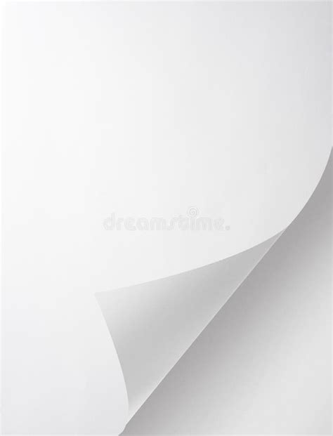 Blank Sheet Of Paper Stock Photo Image Of Painting Empty 76628716