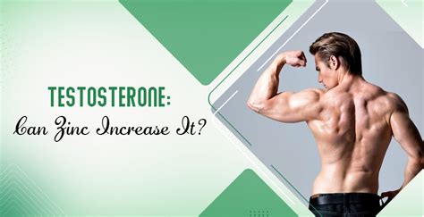 Is Zinc Capable Of Increasing Testosterone