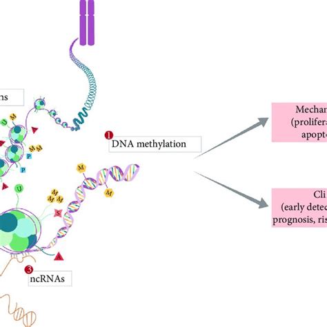 Current Landscapes Of Epigenetics Mechanism And Application In Lung