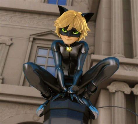 Chat Noir Adrien Wiki Miraculous Ladybug Español Amino