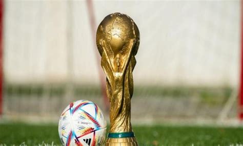 FIFA World Cup 2022: Hundreds of deaths in preparation for FIFA World ...