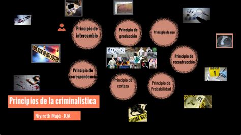 Principios De La Criminalística By Niyireth Maje On Prezi