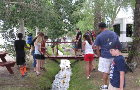 Chalk Creek Campground Buena Vista Salida Nathrop Colorado Camping