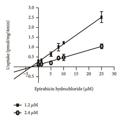 Dixon Plot Analysis Of The Inhibitory Effects Of Epirubicin